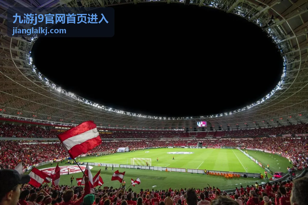 九游j9官网首页进入登录入口说明封面