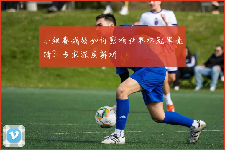 小组赛战绩如何影响世界杯冠军竞猜？专家深度解析