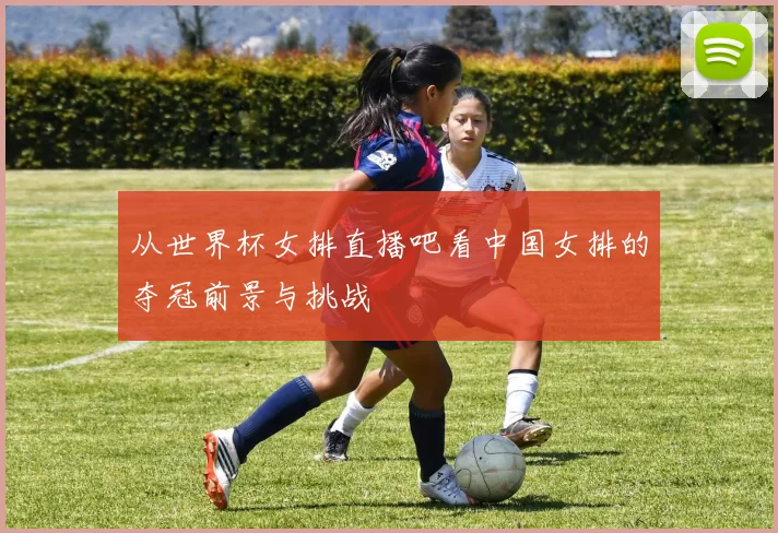 从世界杯女排直播吧看中国女排的夺冠前景与挑战