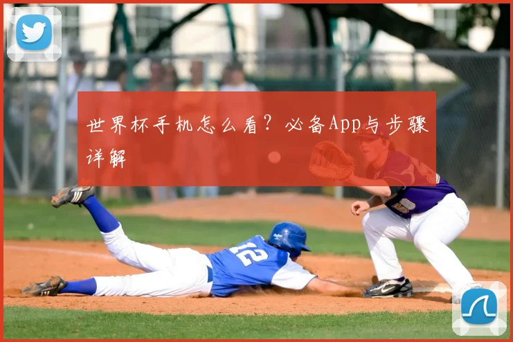世界杯手机怎么看?必备App与步骤详解